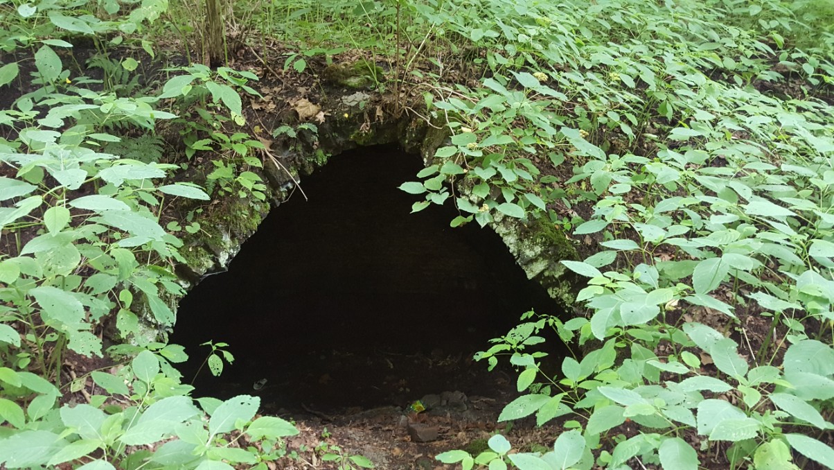 beehive oven