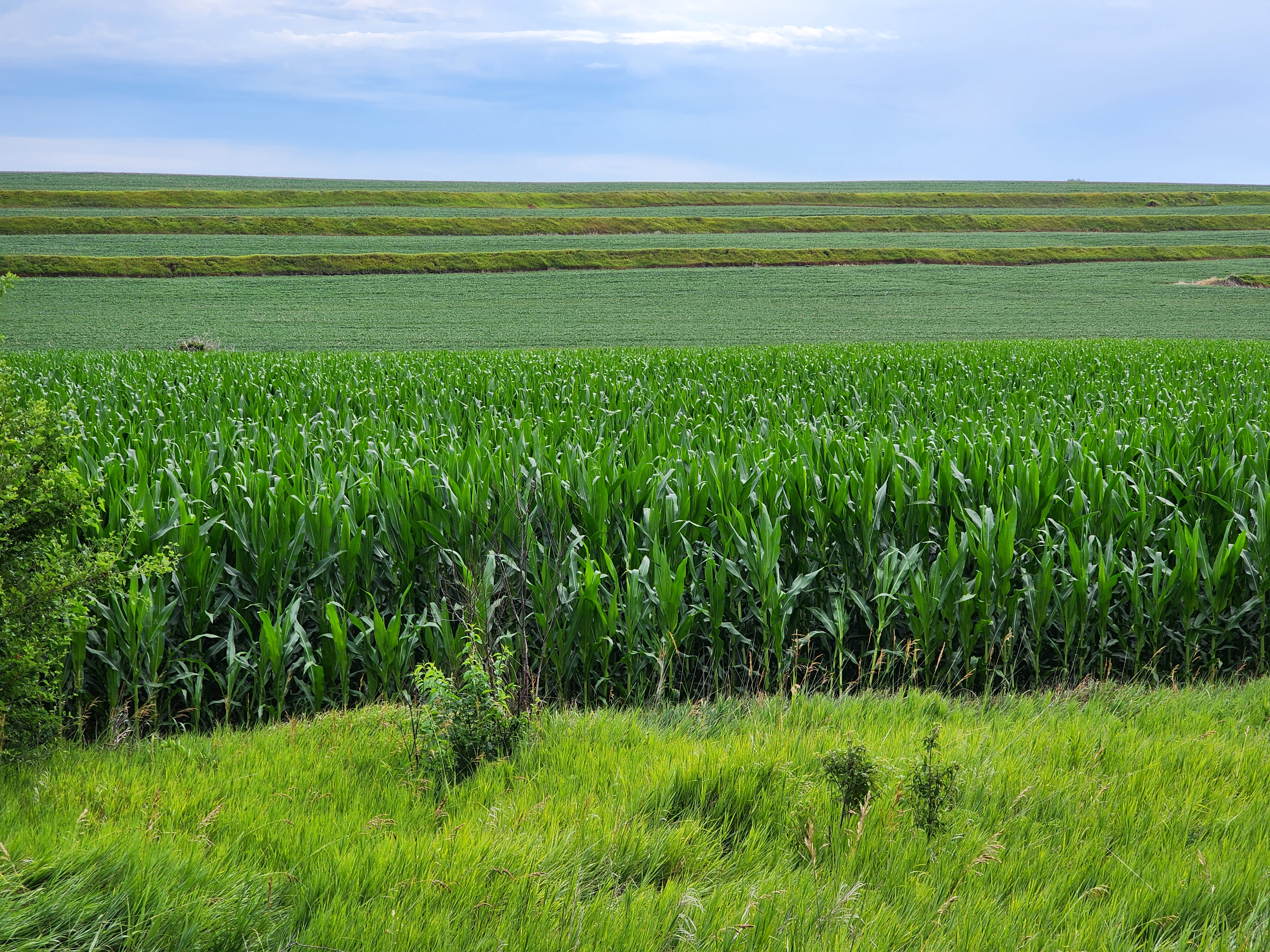 farm field showing earthen berms
